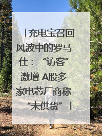 充电宝召回风波中的罗马仕：“访客”激增 A股多家电芯厂商称“未供货”