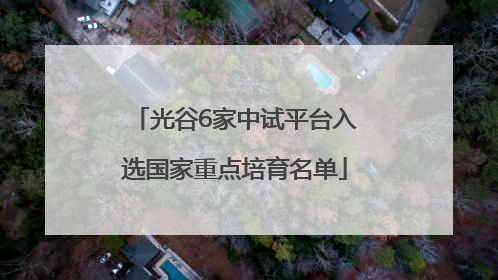 光谷6家中试平台入选国家重点培育名单