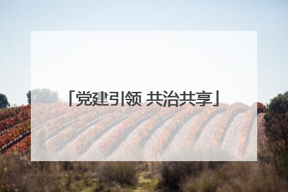 党建引领 共治共享