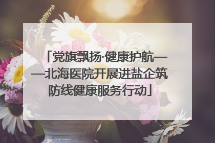 党旗飘扬·健康护航——北海医院开展进盐企筑防线健康服务行动