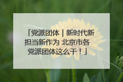 党派团体｜新时代新担当新作为 北京市各党派团体这么干！