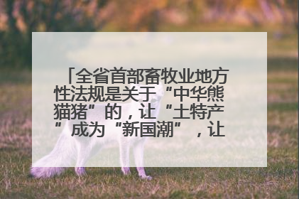 全省首部畜牧业地方性法规是关于“中华熊猫猪”的，让“土特产”成为“新国潮”，让“农产品”升格为“城市IP”