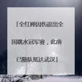 全红婵因伤退出全国跳水冠军赛，此前已随队抵达武汉