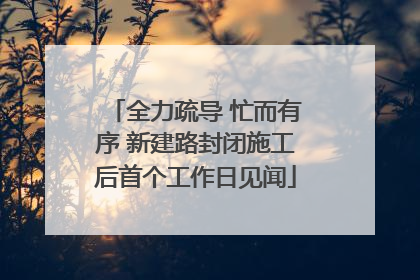 全力疏导 忙而有序 新建路封闭施工后首个工作日见闻