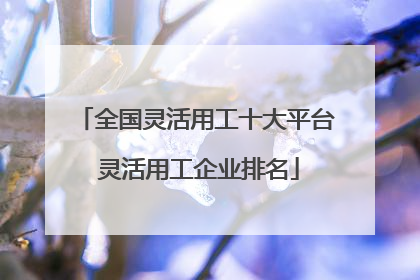 全国灵活用工十大平台 灵活用工企业排名