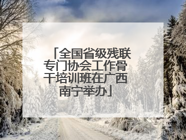 全国省级残联专门协会工作骨干培训班在广西南宁举办