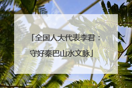 全国人大代表李君：守好秦巴山水文脉