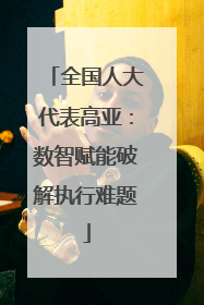 全国人大代表高亚：数智赋能破解执行难题