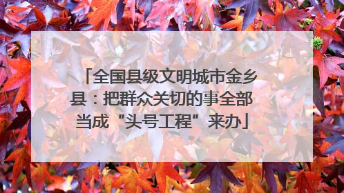 全国县级文明城市金乡县：把群众关切的事全部当成“头号工程”来办