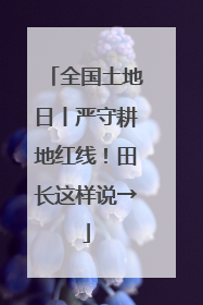 全国土地日丨严守耕地红线！田长这样说→