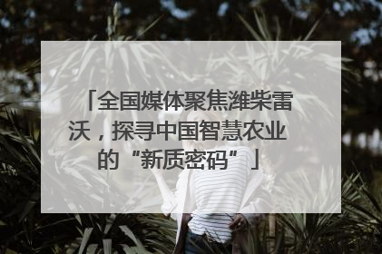 全国媒体聚焦潍柴雷沃，探寻中国智慧农业的“新质密码”