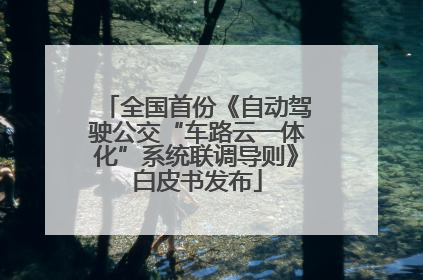 全国首份《自动驾驶公交“车路云一体化”系统联调导则》白皮书发布