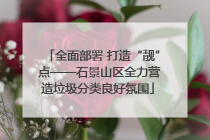 全面部署 打造“靓” 点——石景山区全力营造垃圾分类良好氛围