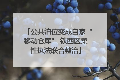 公共泊位变成自家“移动仓库” 铁西区柔性执法联合整治
