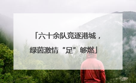 六十余队竞逐港城，绿茵激情“足”够燃