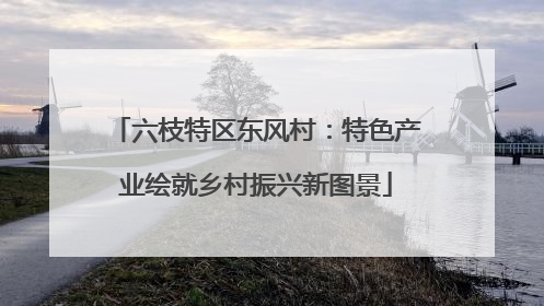 六枝特区东风村：特色产业绘就乡村振兴新图景