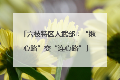 六枝特区人武部：“揪心路”变“连心路”
