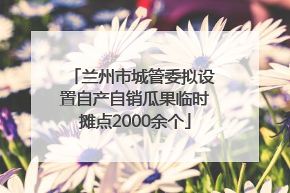 兰州市城管委拟设置自产自销瓜果临时摊点2000余个