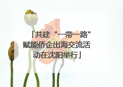 共建“一带一路”赋能侨企出海交流活动在沈阳举行
