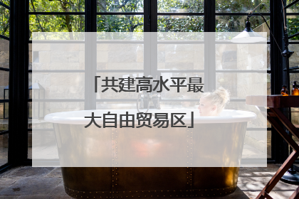 共建高水平最大自由贸易区