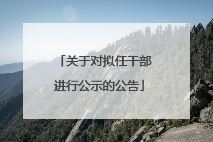 关于对拟任干部进行公示的公告
