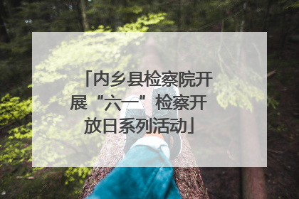 内乡县检察院开展“六一”检察开放日系列活动