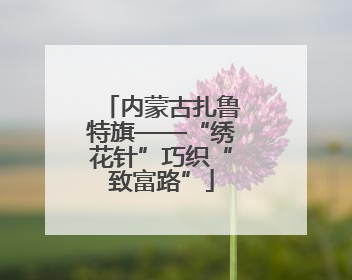 内蒙古扎鲁特旗——“绣花针”巧织“致富路”