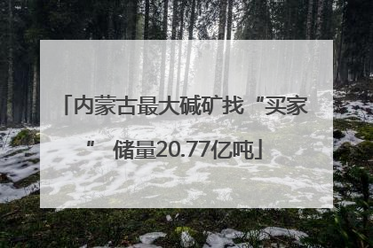 内蒙古最大碱矿找“买家” 储量20.77亿吨