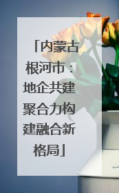 内蒙古根河市：地企共建聚合力构建融合新格局