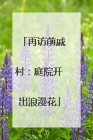 再访前戚村：庭院开出浪漫花