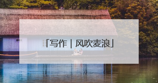 写作｜风吹麦浪