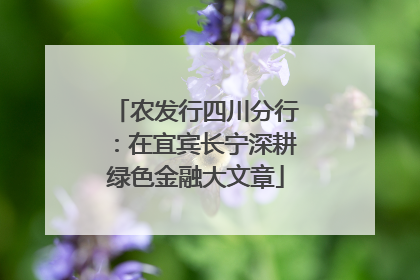农发行四川分行：在宜宾长宁深耕绿色金融大文章