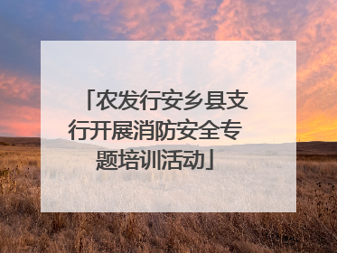 农发行安乡县支行开展消防安全专题培训活动