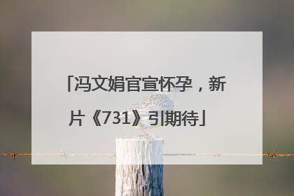 冯文娟官宣怀孕，新片《731》引期待