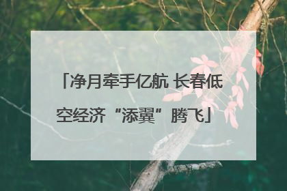 净月牵手亿航 长春低空经济“添翼”腾飞
