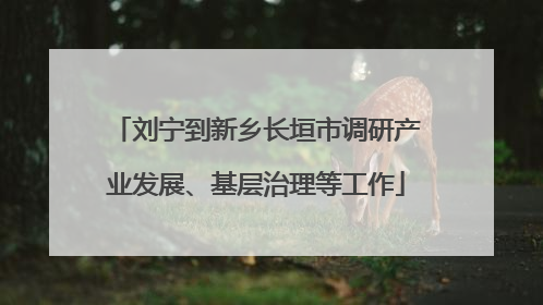 刘宁到新乡长垣市调研产业发展、基层治理等工作