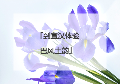 到宣汉体验巴风土韵