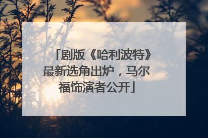 剧版《哈利波特》最新选角出炉，马尔福饰演者公开