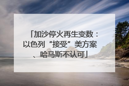 加沙停火再生变数：以色列“接受”美方案、哈马斯不认可