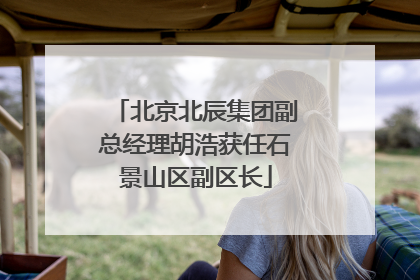 北京北辰集团副总经理胡浩获任石景山区副区长