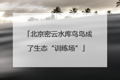 北京密云水库鸟岛成了生态“训练场”