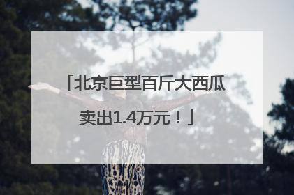 北京巨型百斤大西瓜卖出1.4万元！