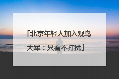 北京年轻人加入观鸟大军：只看不打扰