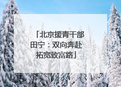 北京援青干部田宁：双向奔赴拓宽致富路