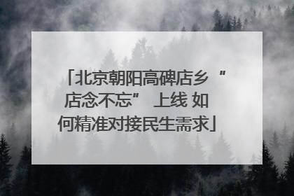 北京朝阳高碑店乡“店念不忘” 上线 如何精准对接民生需求