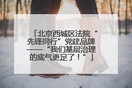 北京西城区法院“先锋同行”党建品牌——“我们基层治理的底气更足了！”