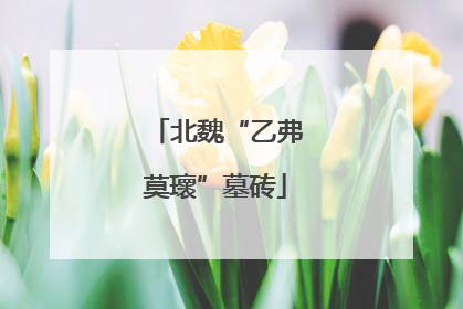 北魏“乙弗莫瓌”墓砖