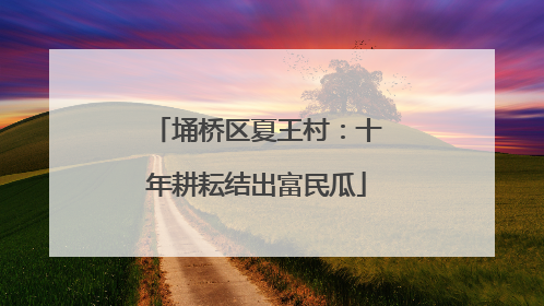 埇桥区夏王村：十年耕耘结出富民瓜