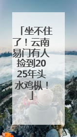 坐不住了！云南易门有人捡到2025年头水鸡枞！