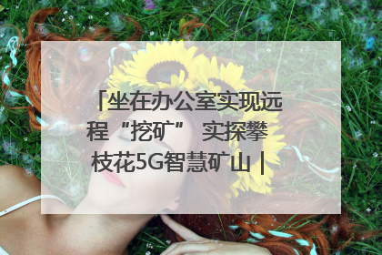 坐在办公室实现远程“挖矿” 实探攀枝花5G智慧矿山｜网络名人四川行